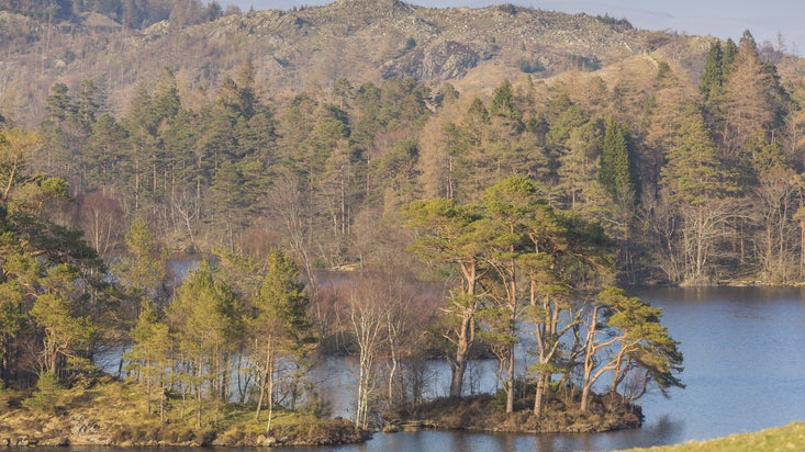 View of the lake at Tarn Hows and Coniston Cumbria